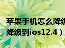 蘋果手機(jī)怎么降級到出廠系統(tǒng)（蘋果手機(jī)怎么降級到ios12.4）