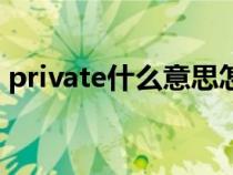private什么意思怎么讀（private什么意思）