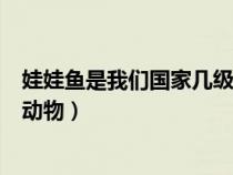 娃娃魚是我們國(guó)家?guī)准?jí)保護(hù)動(dòng)物（娃娃魚屬于我國(guó)幾級(jí)保護(hù)動(dòng)物）