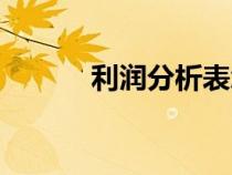 利潤(rùn)分析表怎么做（利潤(rùn)分析）