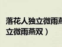 落花人獨(dú)立微雨燕雙飛是什么字謎（落花人獨(dú)立微雨燕雙）