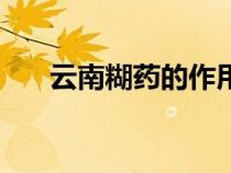 云南糊藥的作用（云南糊藥官方網(wǎng)站）