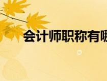 會計(jì)師職稱有哪些等級（會計(jì)師職稱）