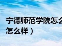 寧德師范學院怎么樣就讀感受（寧德師范學院怎么樣）