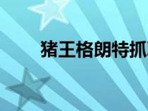 豬王格朗特抓取地點(diǎn)（豬王格朗特）