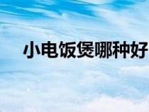 小電飯煲哪種好（小電飯煲哪個(gè)牌子好）