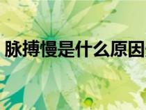 脈搏慢是什么原因影響（脈搏慢是什么原因）