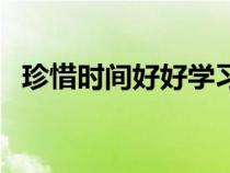 珍惜時間好好學(xué)習(xí)的句子（如何好好學(xué)習(xí)）