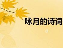 詠月的詩詞名句（詠月的詩詞）