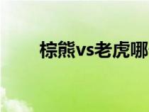 棕熊vs老虎哪個厲害（棕熊vs老虎）
