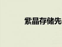 紫晶存儲(chǔ)先行賠付（先行賠付）