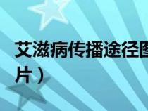 艾滋病傳播途徑圖片素材（艾滋病傳播途徑圖片）