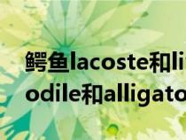 鱷魚lacoste和live區(qū)別(請(qǐng)問關(guān)于鱷魚crocodile和alligator的區(qū)別) 鱷魚lacoste和live區(qū)別(請(qǐng)問關(guān)于鱷魚crocodile和alligator的區(qū)別)
