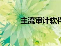 主流審計(jì)軟件（審計(jì)軟件哪個(gè)好）