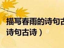 描寫春雨的詩句古詩大全二年級（描寫春雨的詩句古詩）