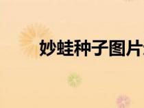 妙蛙種子圖片進(jìn)化（妙蛙種子圖片）