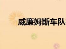 威廉姆斯車隊標(biāo)志（威廉姆斯車隊）