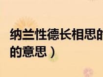 納蘭性德長(zhǎng)相思的意思翻譯（納蘭性德長(zhǎng)相思的意思）