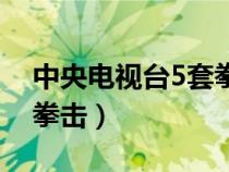 中央電視臺(tái)5套拳擊主持人（中央電視臺(tái)5套拳擊）