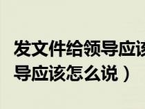 發(fā)文件給領導應該怎么說請審閱（發(fā)文件給領導應該怎么說）