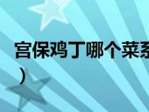 宮保雞丁哪個菜系沒有（宮保雞丁是哪個菜系）