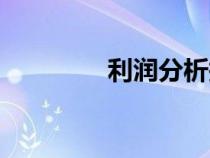利潤(rùn)分析報(bào)告(利潤(rùn)分析) 利潤(rùn)分析報(bào)告(利潤(rùn)分析)