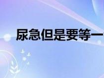 尿急但是要等一會(huì)兒才能尿出來（尿急）
