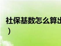 社保基數(shù)怎么算出來(lái)的公式（社保基數(shù)怎么算）