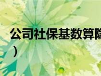 公司社?；鶖?shù)算隱私嗎（公司社?；鶖?shù)怎么算）