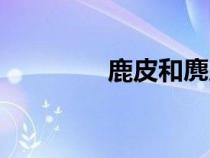 鹿皮和麂皮的區(qū)別(鹿皮) 鹿皮和麂皮的區(qū)別(鹿皮)