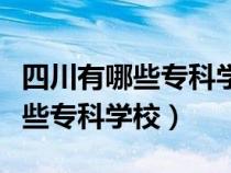 四川有哪些?？茖W校即將升為本科（四川有哪些?？茖W校）