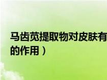 馬齒莧提取物對皮膚有什么作用（馬齒莧提取物在化妝品中的作用）