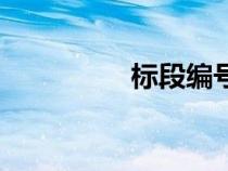 標(biāo)段編號(hào)怎么寫(xiě)(標(biāo)段) 標(biāo)段編號(hào)怎么寫(xiě)(標(biāo)段)