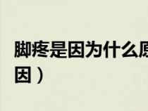 腳疼是因?yàn)槭裁丛蛞鸬模_疼痛是什么原因）