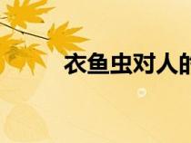 衣魚蟲對人的危害大嗎（衣魚蟲）