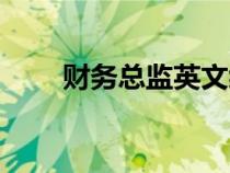 財務(wù)總監(jiān)英文縮寫(財務(wù)總監(jiān)英文) 財務(wù)總監(jiān)英文縮寫(財務(wù)總監(jiān)英文)