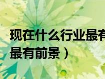 現(xiàn)在什么行業(yè)最有前景最吃香（現(xiàn)在什么行業(yè)最有前景）