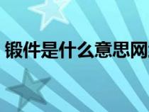 鍛件是什么意思網(wǎng)絡(luò)用語(yǔ)（鍛件是什么意思）