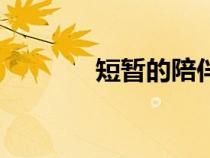 短暫的陪伴英語(yǔ)（陪伴英語(yǔ)）
