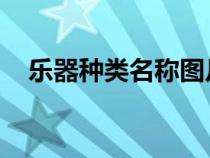 樂(lè)器種類名稱圖片大全 對(duì)照（樂(lè)器種類）