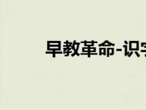 早教革命-識(shí)字不用教（早教革命）