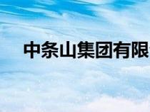 中條山集團有限公司官網(wǎng)（中條山集團）