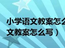 小學語文教案怎么寫?有一般模板嗎?（小學語文教案怎么寫）