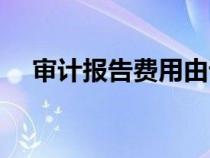 審計(jì)報(bào)告費(fèi)用由誰(shuí)承擔(dān)(審計(jì)報(bào)告費(fèi)用) 審計(jì)報(bào)告費(fèi)用由誰(shuí)承擔(dān)(審計(jì)報(bào)告費(fèi)用)