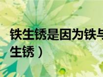 鐵生銹是因為鐵與空氣中的什么發(fā)生反應(yīng)（鐵生銹）