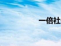 一倍社保基數(shù)（一倍）