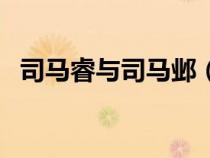 司馬睿與司馬鄴（司馬睿和司馬炎的關系）