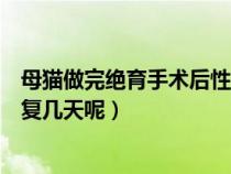 母貓做完絕育手術(shù)后性格有啥變化（母貓做了絕育一般要恢復幾天呢）