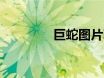 巨蛇圖片真實(shí)(巨蛇圖片) 巨蛇圖片真實(shí)(巨蛇圖片)