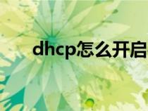 dhcp怎么開啟手機(jī)（dhcp怎么開啟）